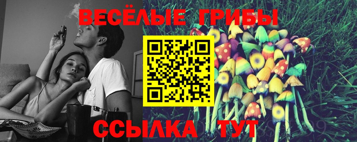 Псилоцибиновые грибы мухоморы  Вход с VPN  Сыктывкар  Псилоцибиновые грибы мицелий 