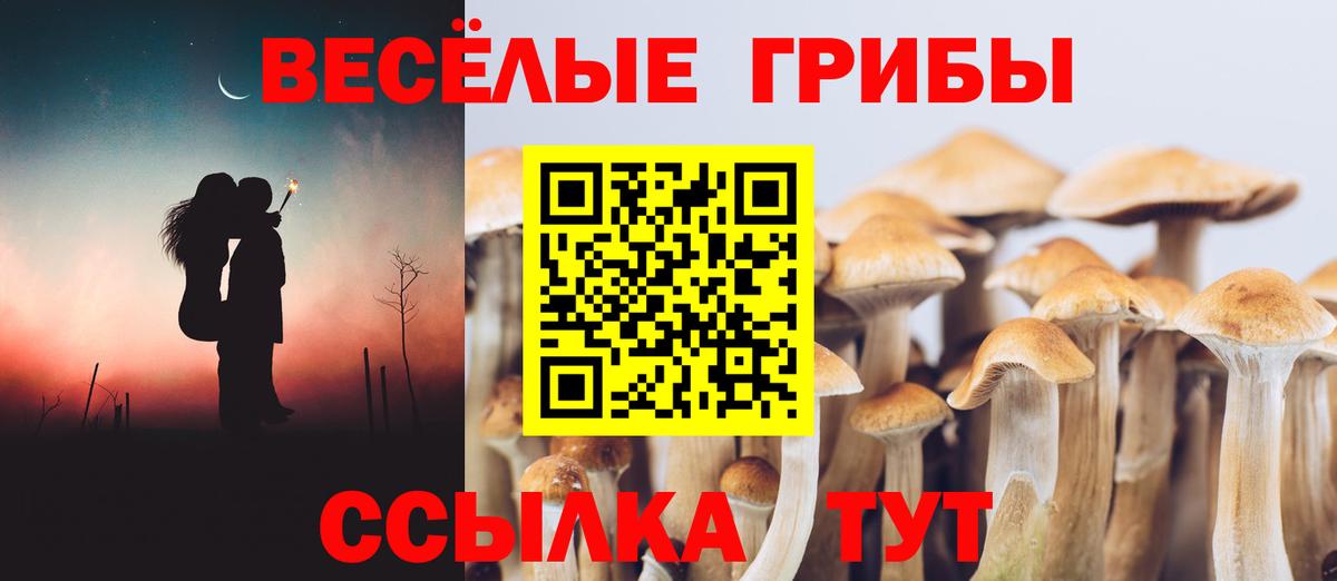 Галлюциногенные грибы MAGIC MUSHROOMS Сыктывкар